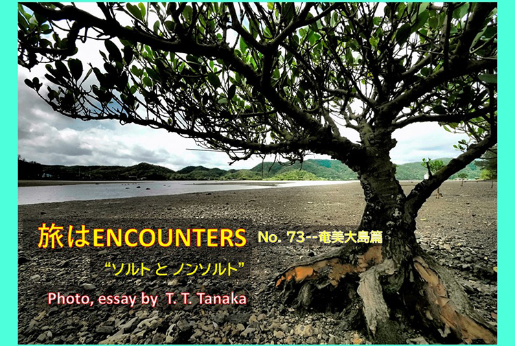 Travel is ENCOUNTERS  #73