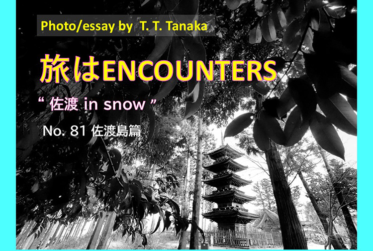 Travel is ENCOUNTERS  #81