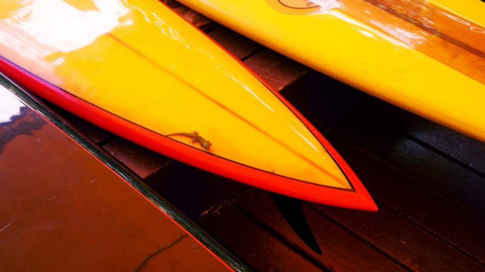 Vintage Surf Board