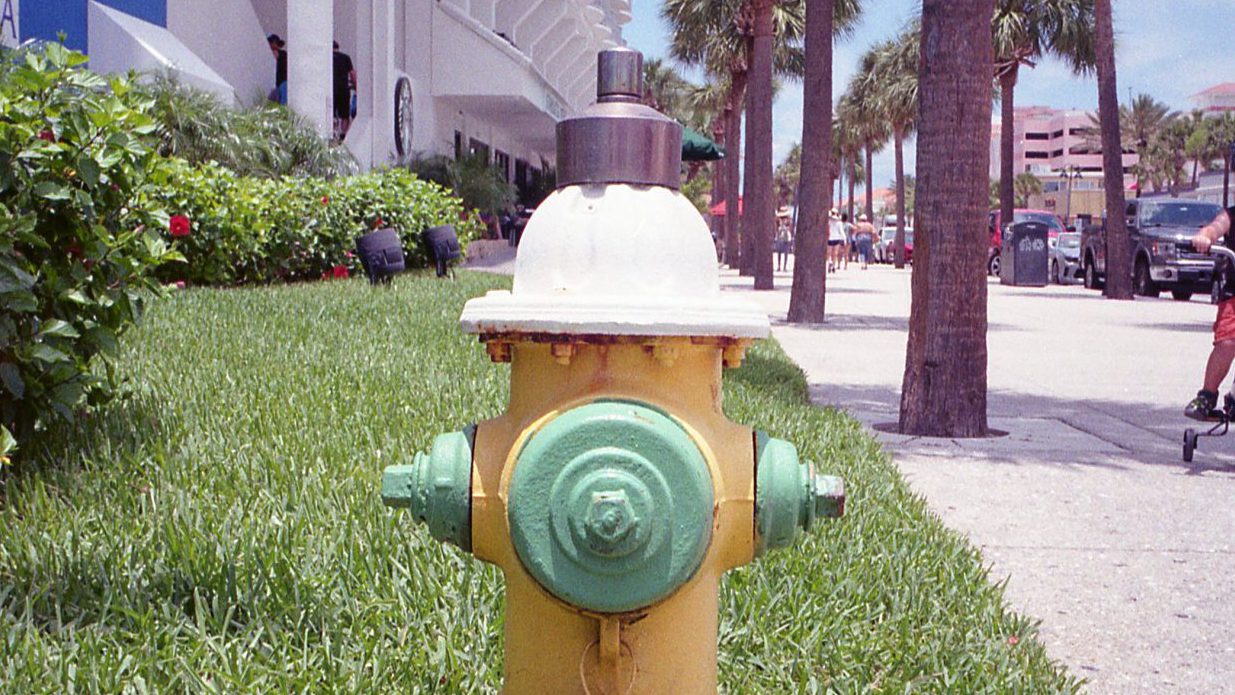 フロリダで見つけた可愛い消火栓たち